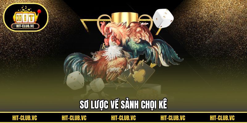 Sơ lược về sảnh chọi kê
