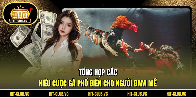 Tổng hợp các kiểu cược gà phổ biến cho người đam mê